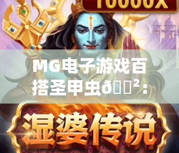 MG电子游戏百搭圣甲虫🎲：MG电子游戏百搭圣甲虫核心玩法拆解 | MG电子游戏百搭圣甲虫2026进阶攻略